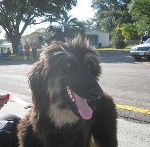 Meet your Posher, Joann